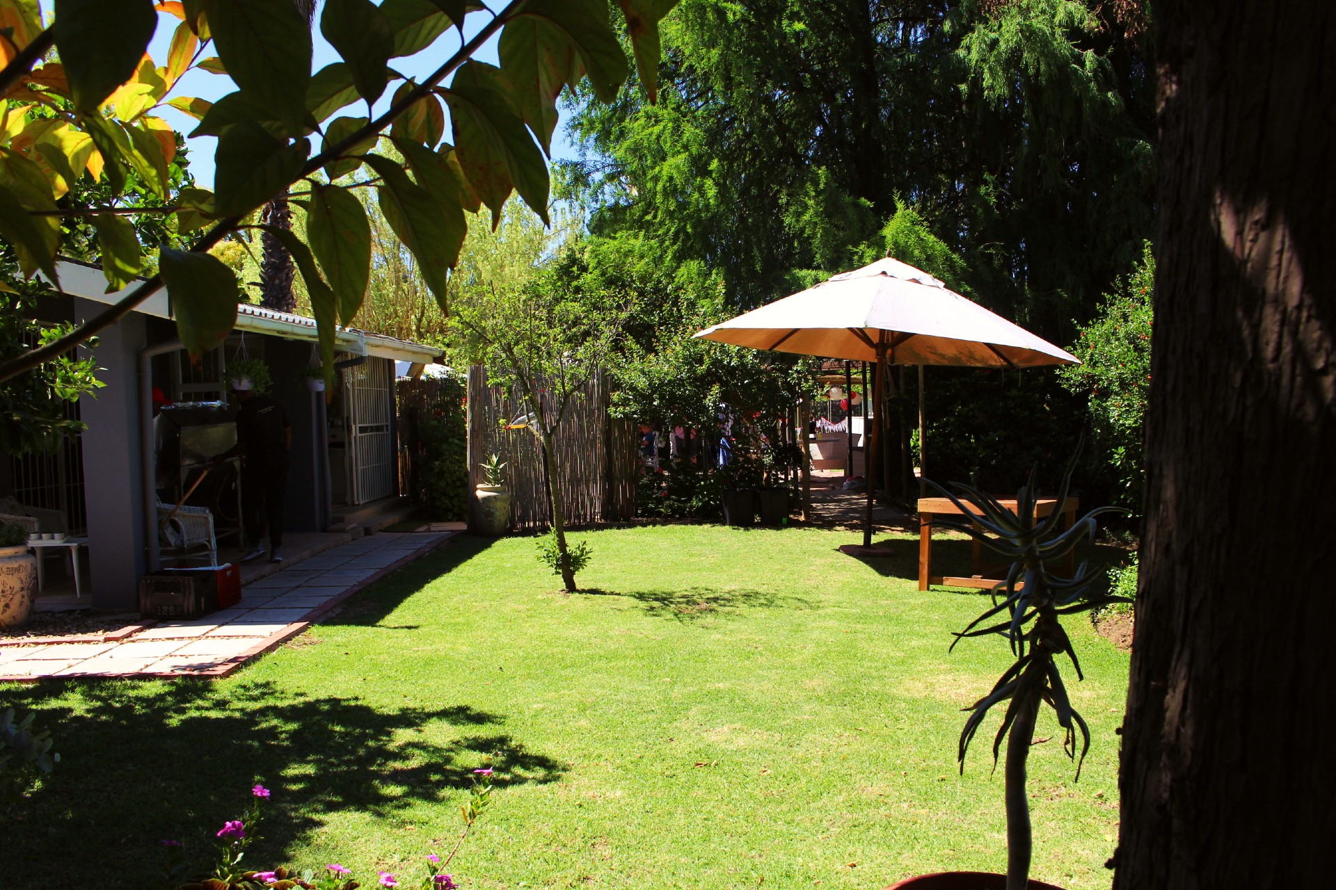 Garden area1
